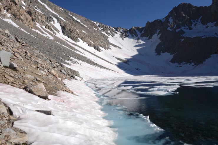 DSC04543 - Version 2