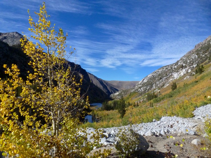 P1120794 - Version 2