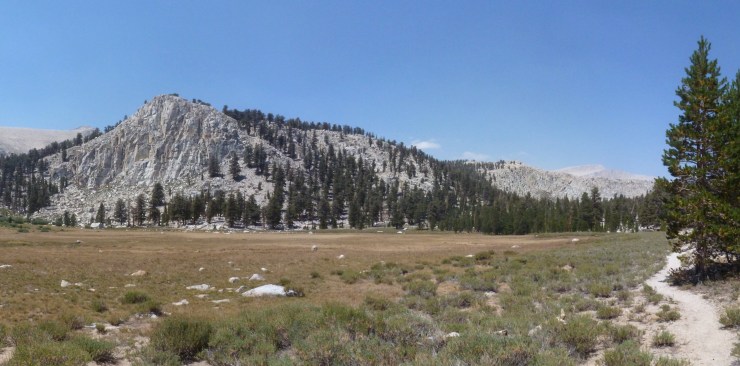 cottonwood_1 - Version 2