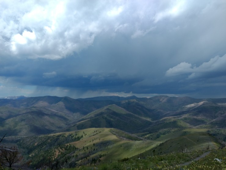 IMG_20190713_133110365