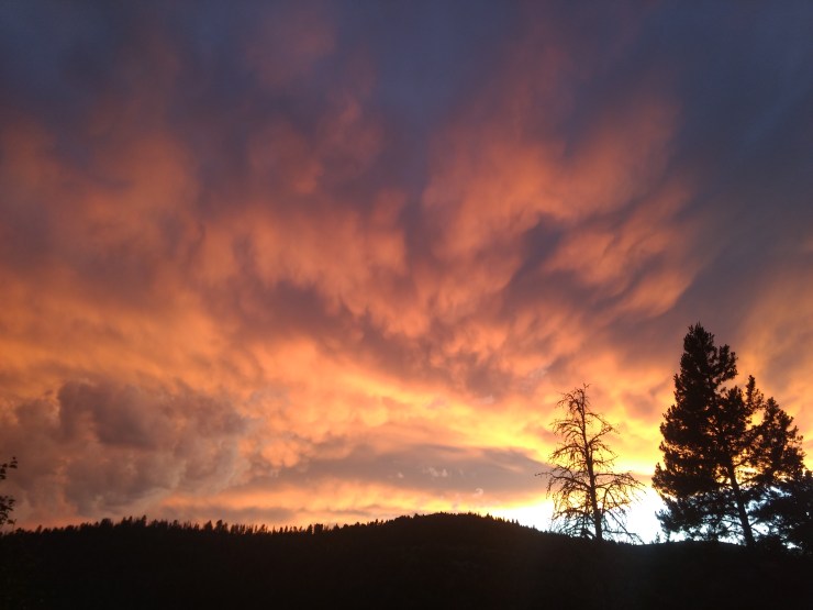 IMG_20190713_212818877