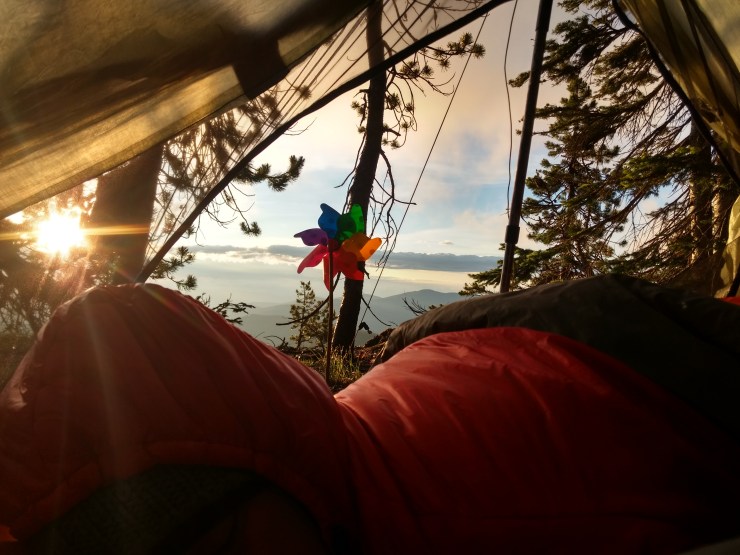 IMG_20190716_061952380_HDR