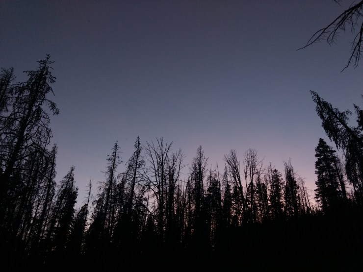 IMG_20190720_213608488