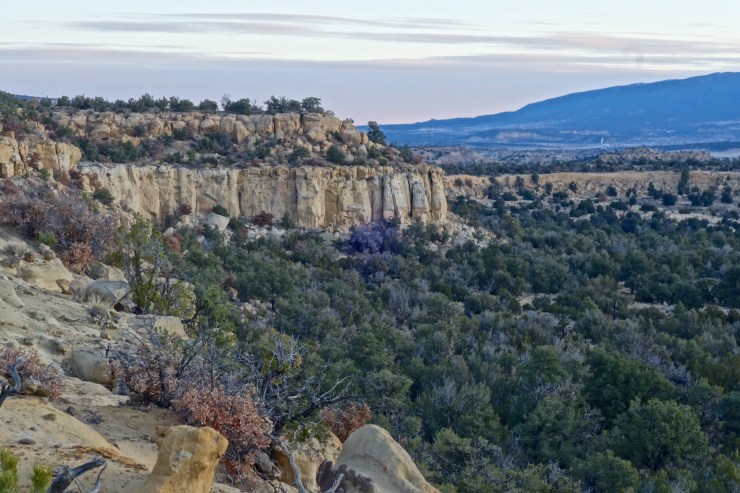 DSC07177 - Version 2