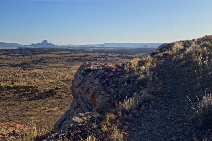 DSC07213 - Version 2