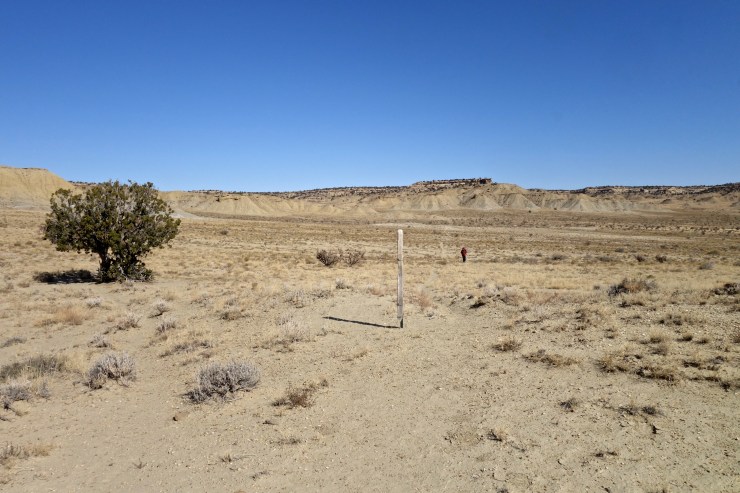 DSC07224 - Version 2