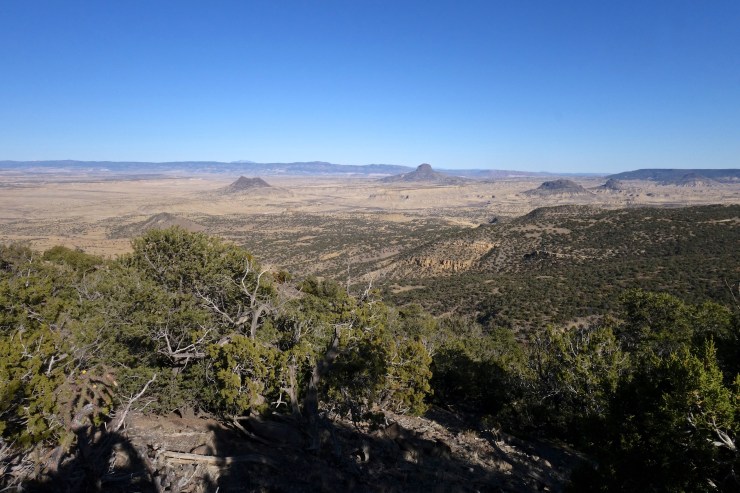 DSC07230 - Version 2