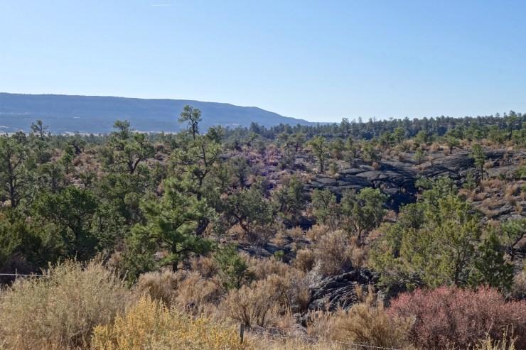 DSC07299 - Version 2