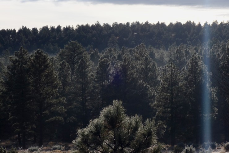 DSC07355 - Version 2