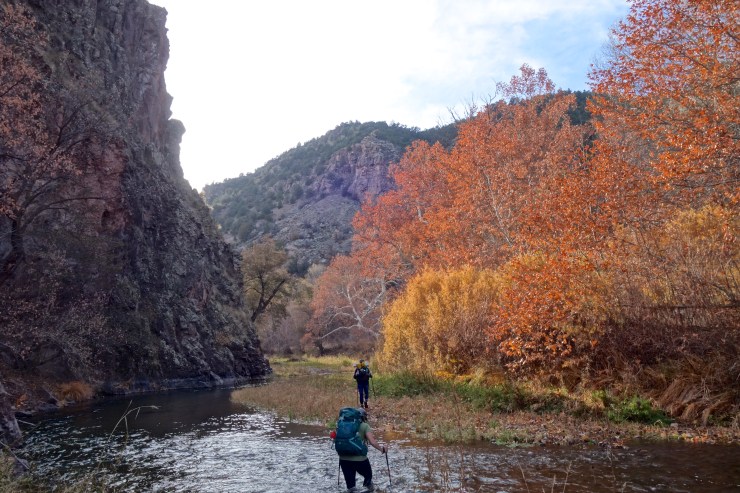 DSC07533 - Version 2