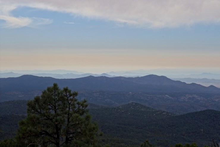 DSC07638 - Version 2