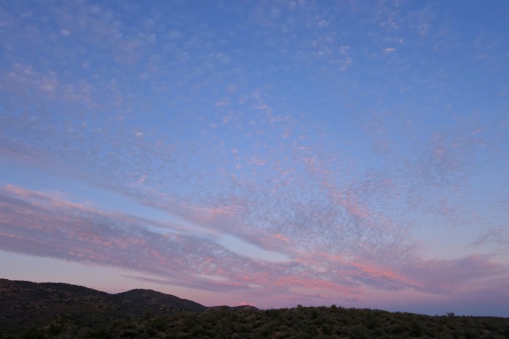 DSC07656 - Version 2