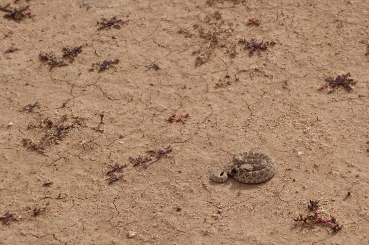 DSC07701 - Version 5