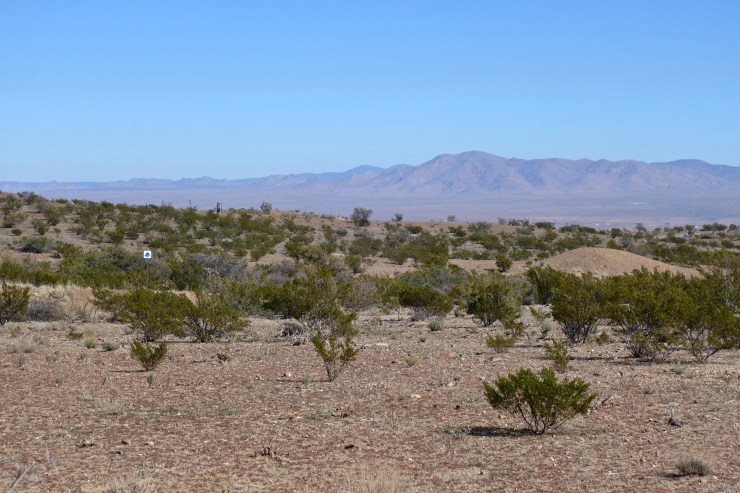 DSC07725 - Version 2