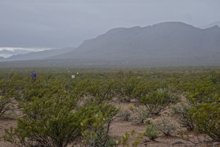 DSC07840 - Version 2