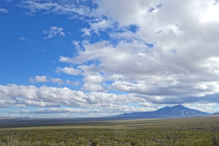 DSC07860 - Version 2