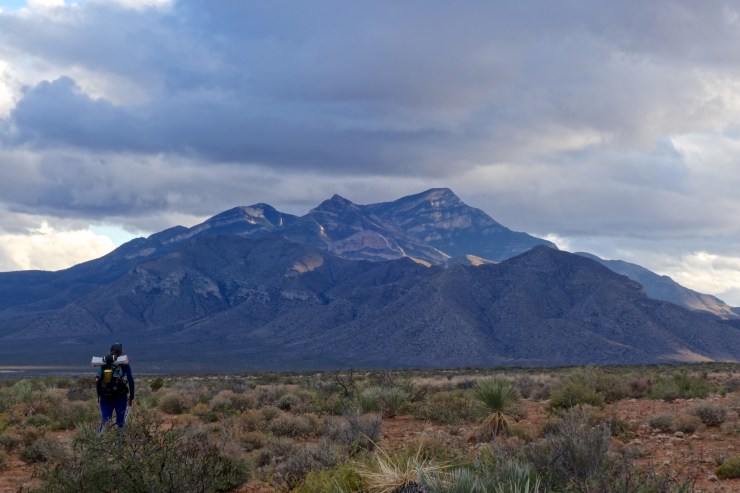 DSC07899 - Version 2