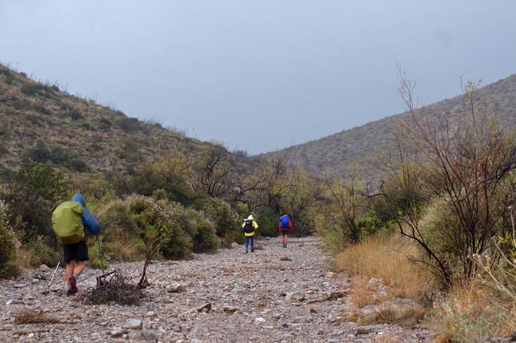 DSC07933 - Version 2