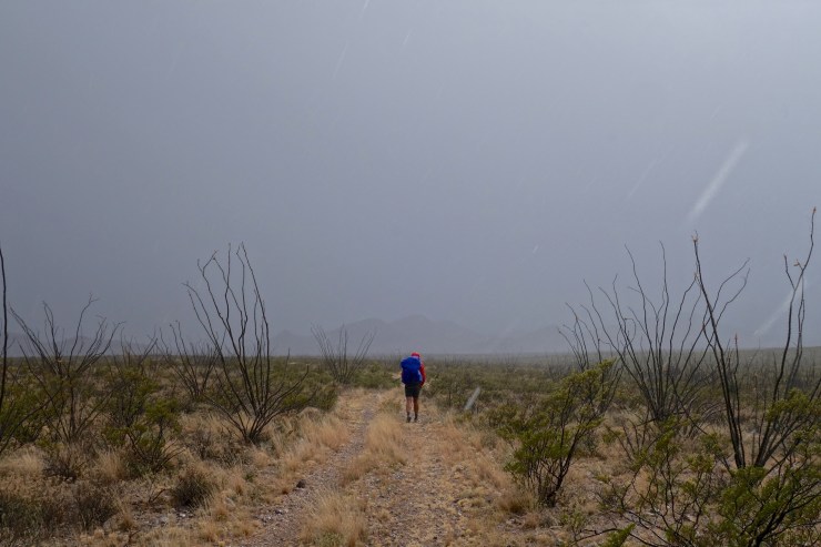 DSC07945 - Version 2