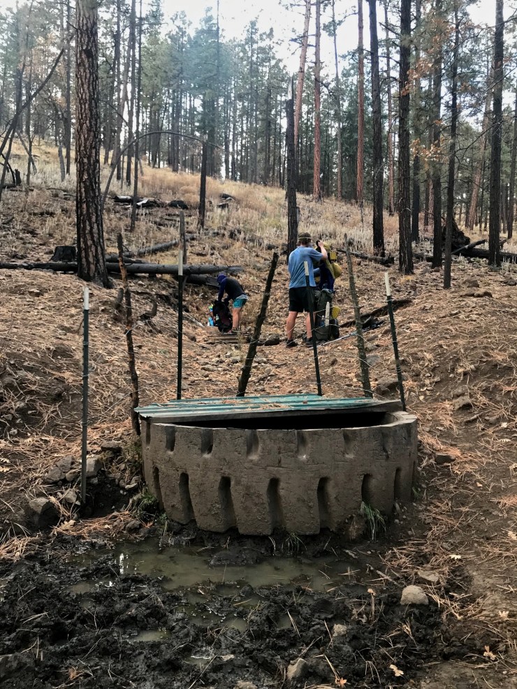 IMG_0989 - Version 2