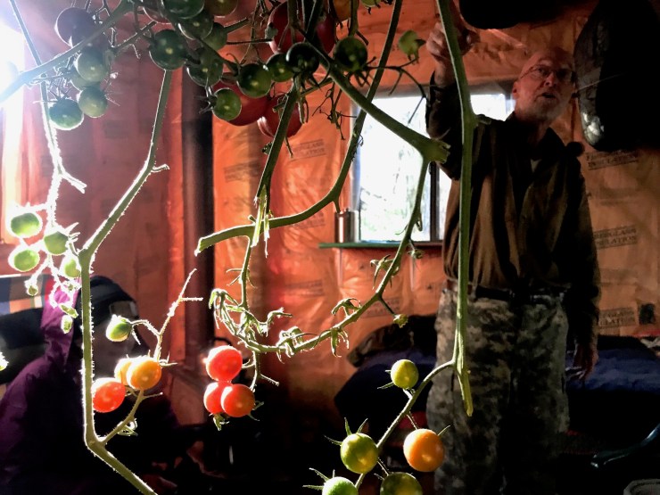 IMG_1286 - Version 2