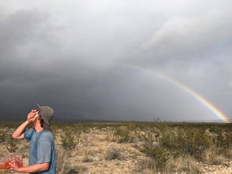 IMG_1740 - Version 2