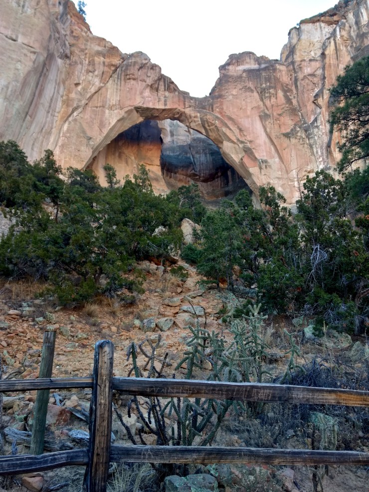 IMG_20191104_075114858_HDR - Version 2