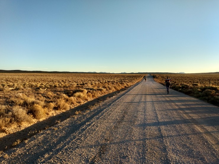 IMG_20191104_164827568_HDR