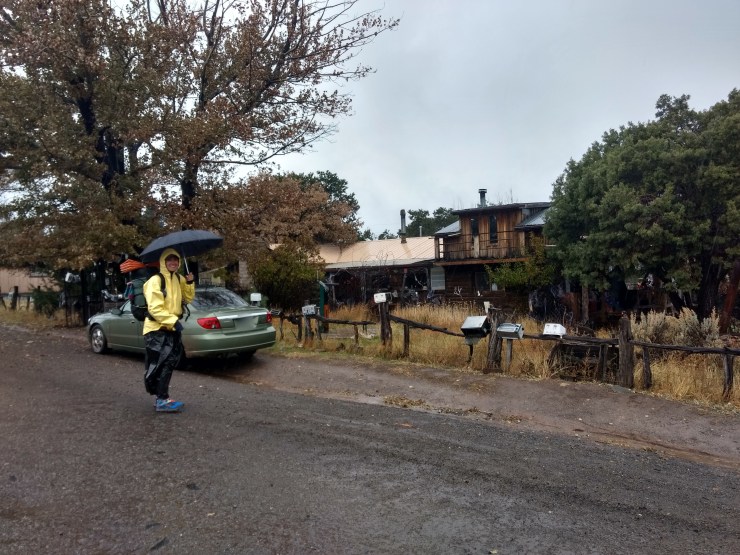 IMG_20191106_114412649_HDR