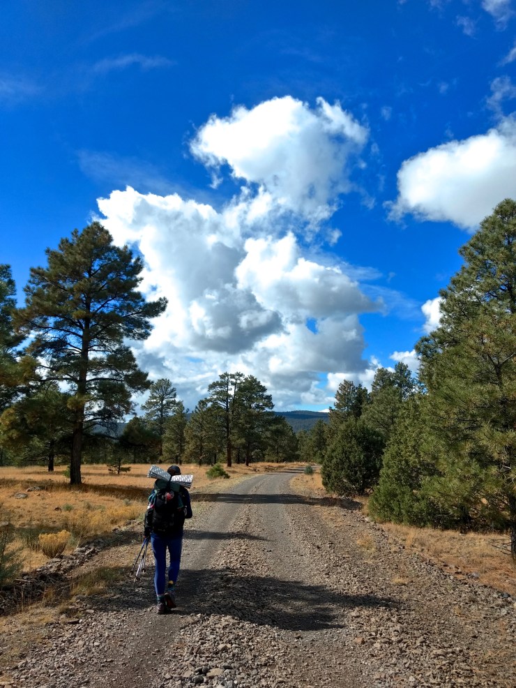 IMG_20191107_114124407_HDR - Version 2