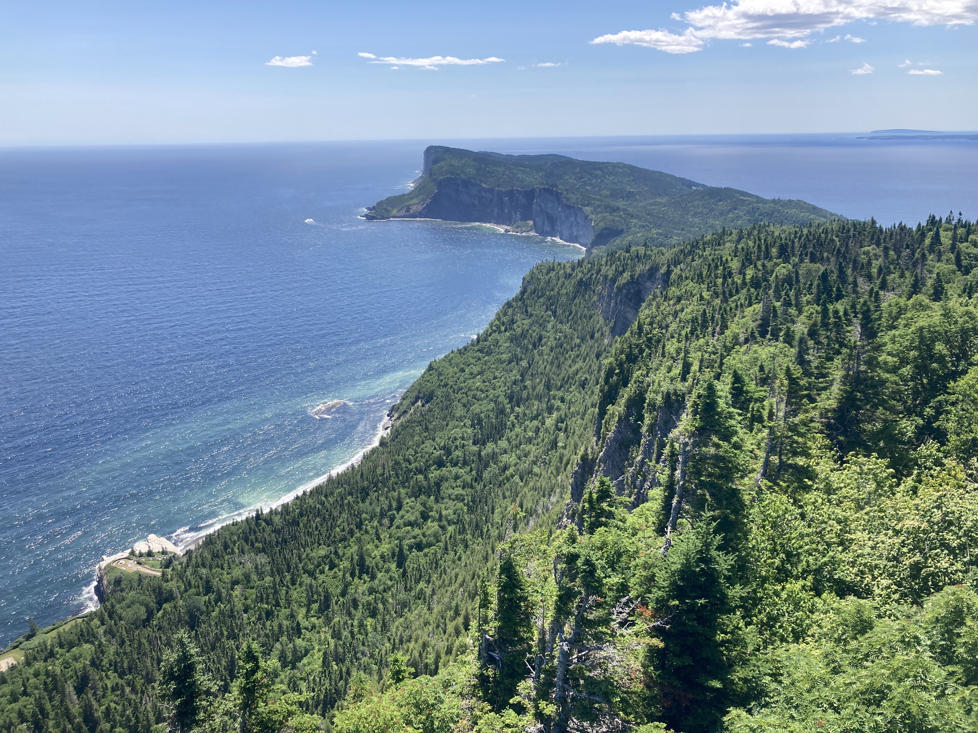 IMG_5568.jpeg IMG 5568