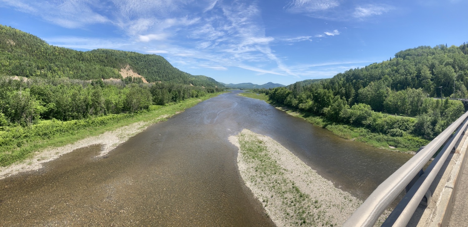 IMG_4517.jpeg IMG 4517