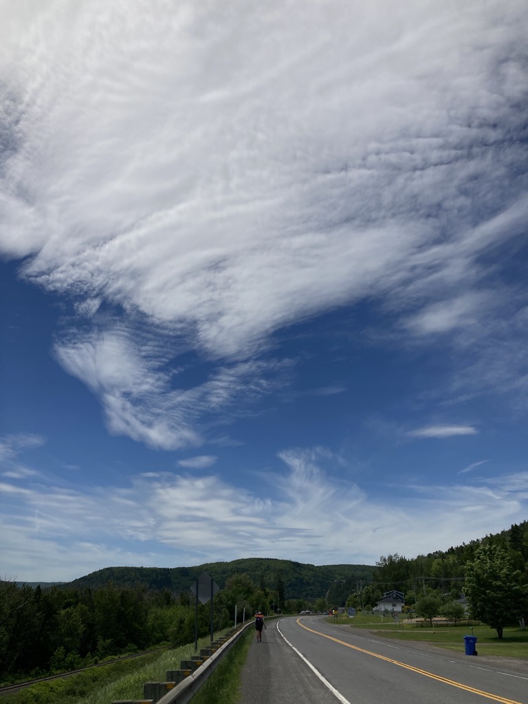 IMG_4522.jpeg IMG 4522