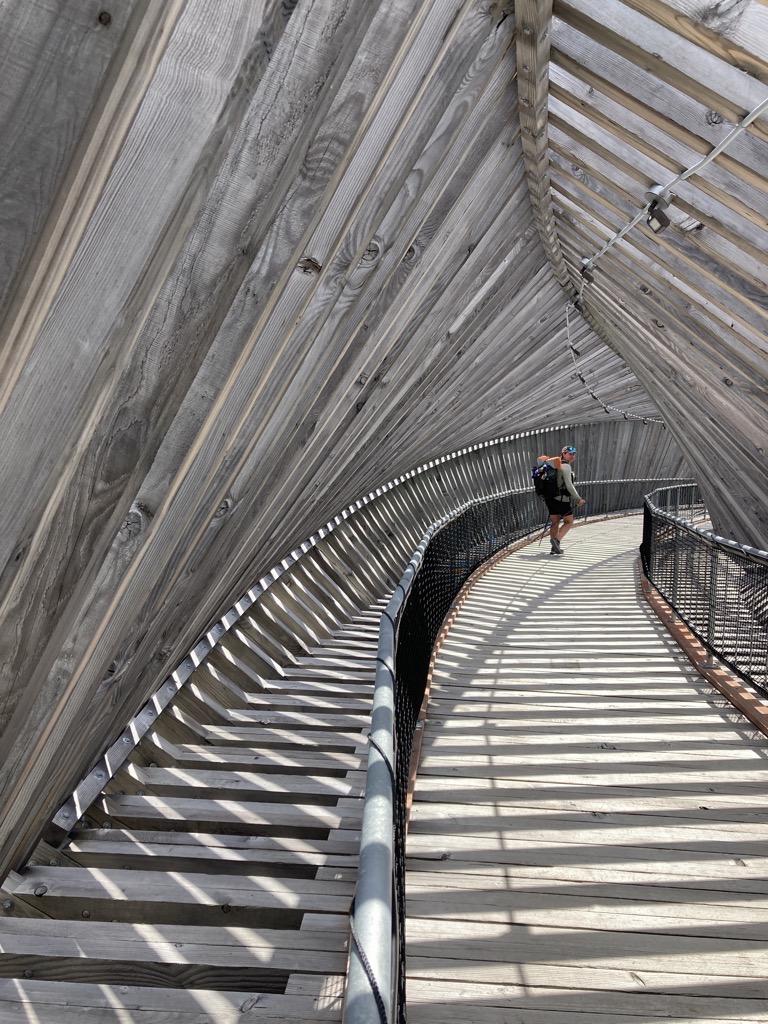 IMG_4529.jpeg IMG 4529