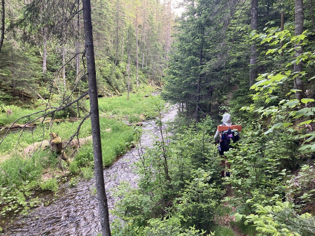 IMG_4565.jpeg IMG 4565