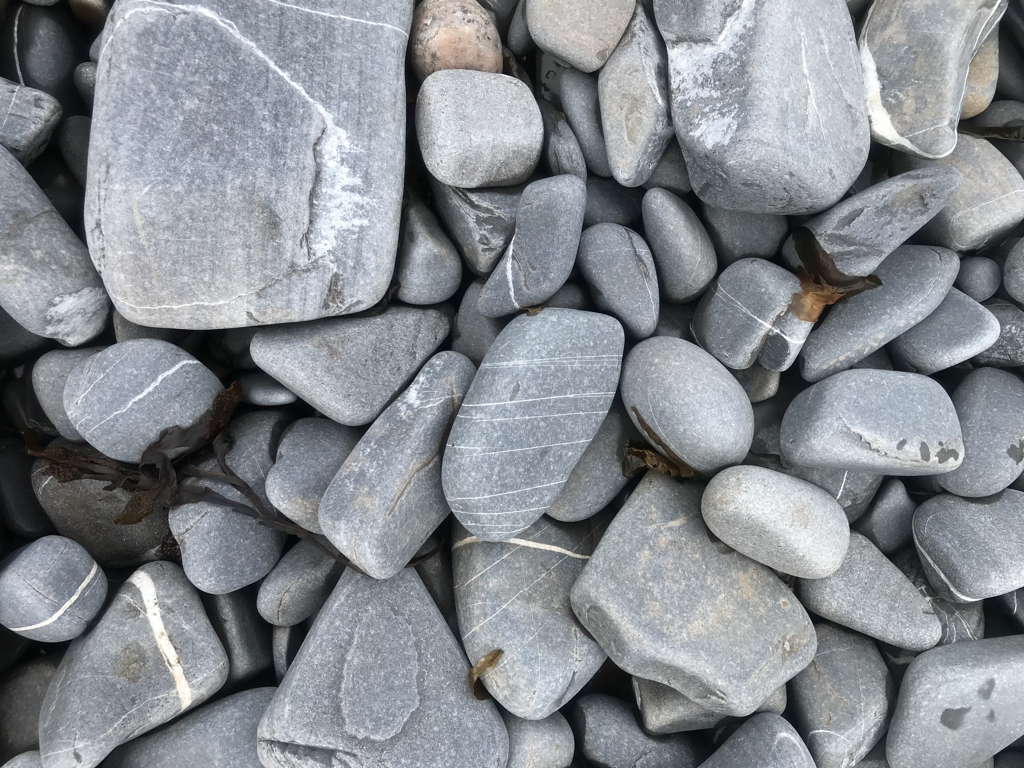 FullSizeRender 4.png FullSizeRender 4