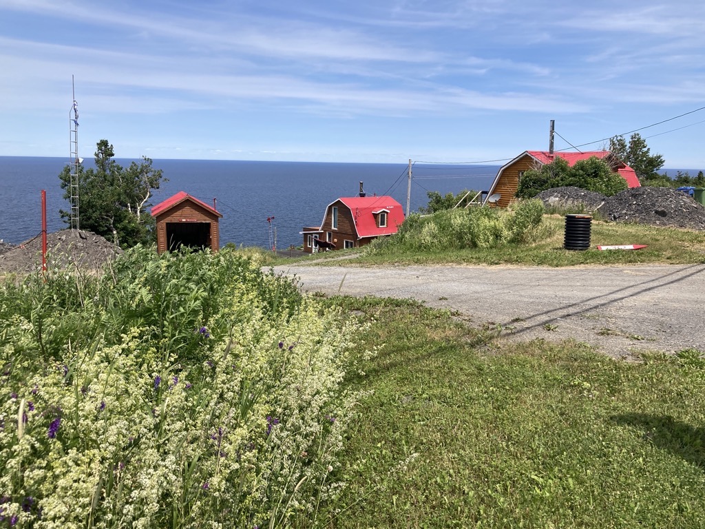 IMG_5282.jpeg IMG 5282