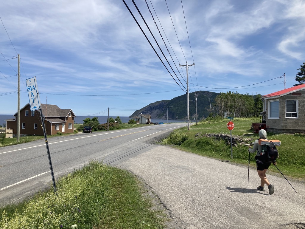 IMG_5286.jpeg IMG 5286