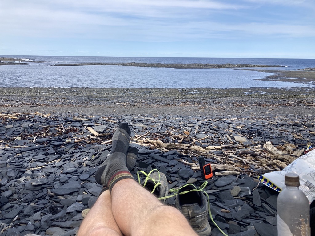 IMG_5290.jpeg IMG 5290