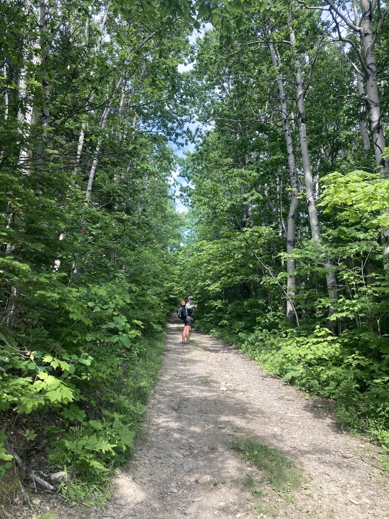 IMG_5293.jpeg IMG 5293