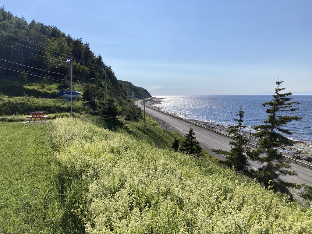 IMG_5301.jpeg IMG 5301