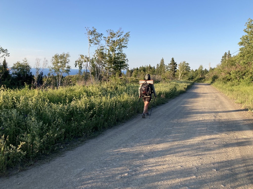 IMG_5310.jpeg IMG 5310