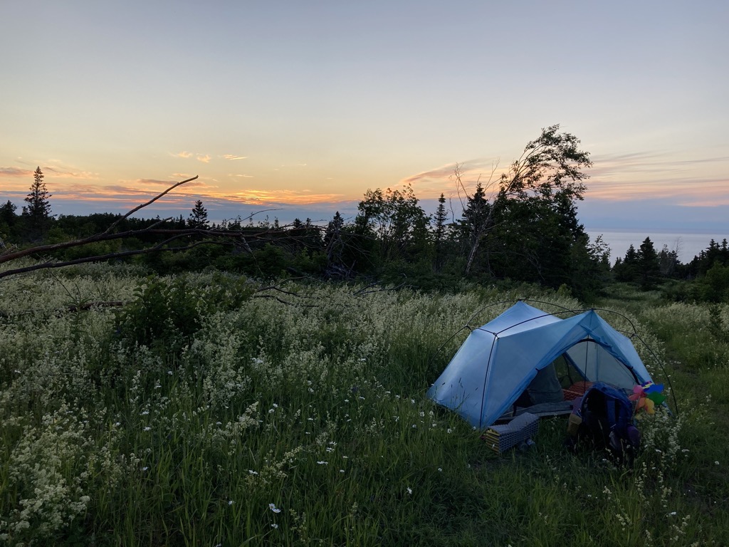 IMG_5314.jpeg IMG 5314