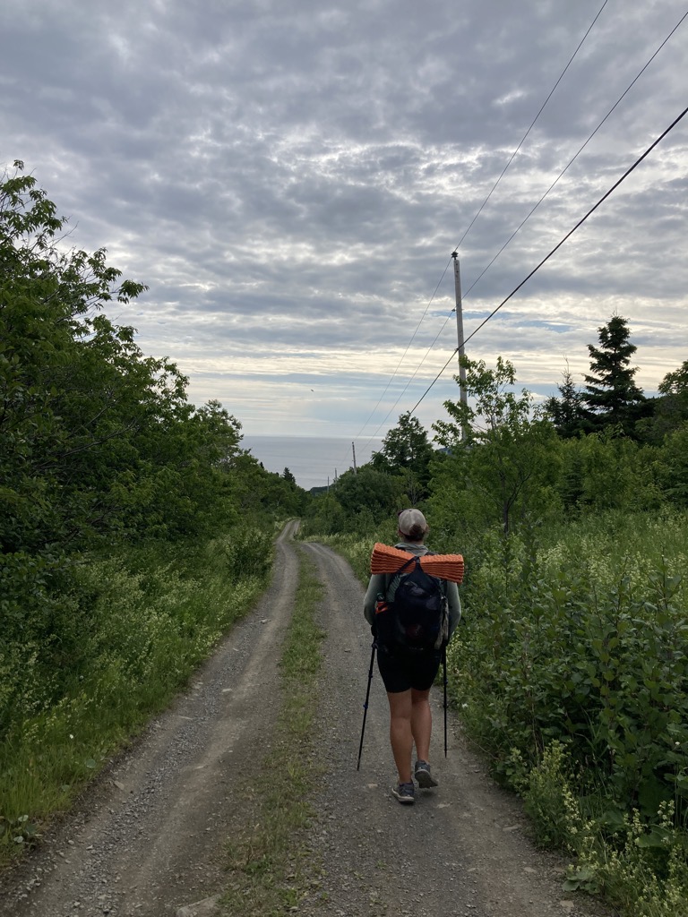 IMG_5315.jpeg IMG 5315