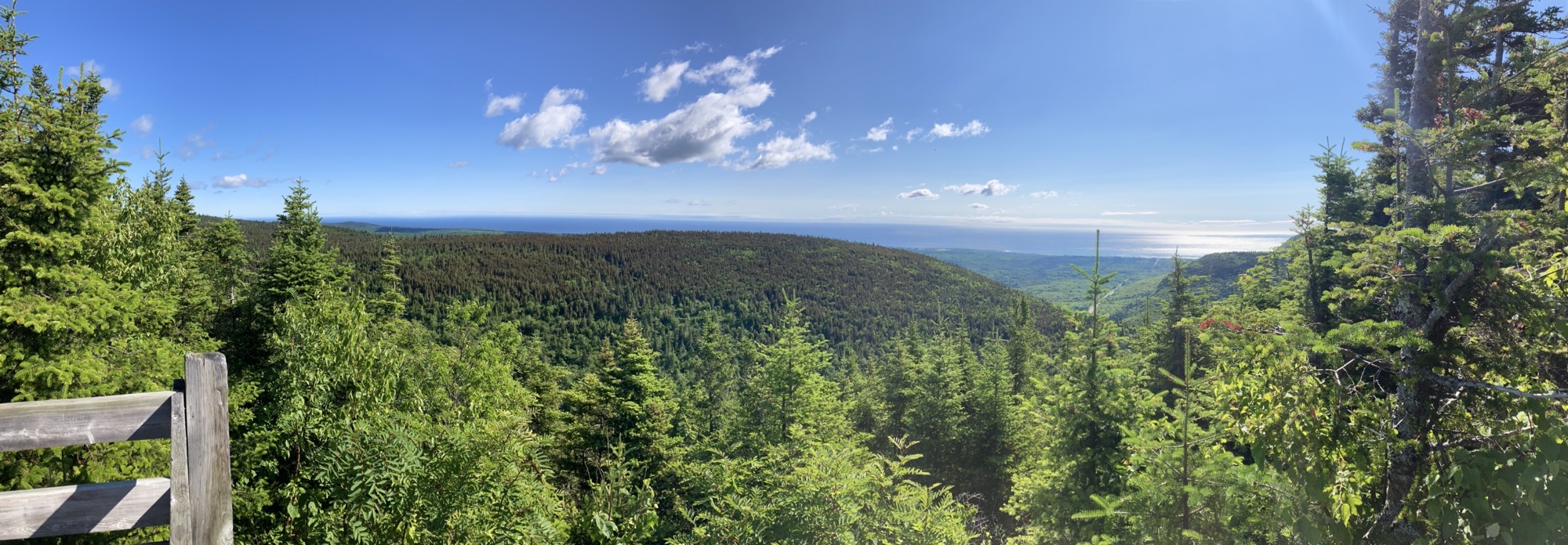 IMG_5553.jpeg IMG 5553