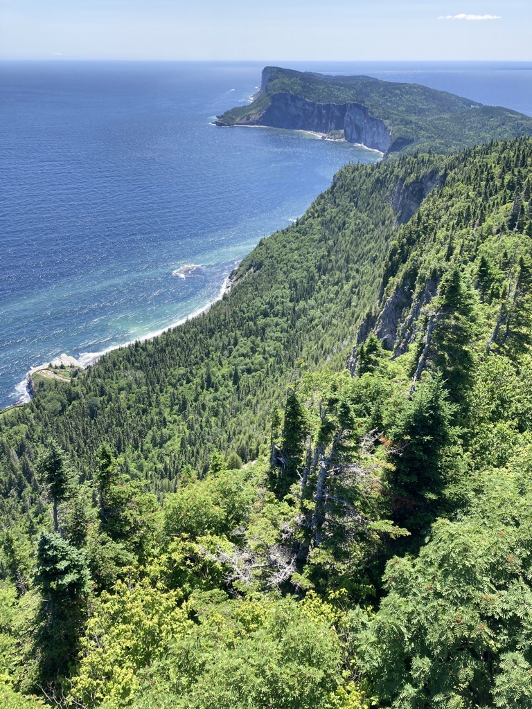 IMG_5570.jpeg IMG 5570