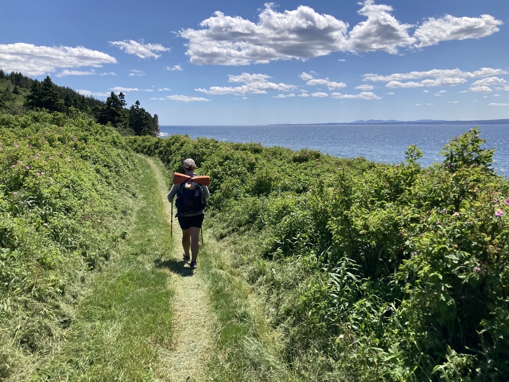 IMG_5585.jpeg IMG 5585