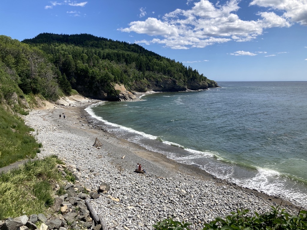 IMG_5586.jpeg IMG 5586