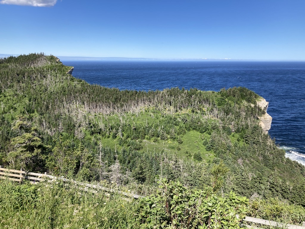 IMG_5591.jpeg IMG 5591