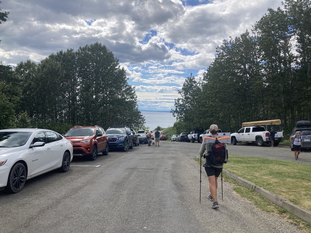 IMG_5619.jpeg IMG 5619